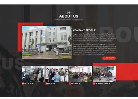 Company Overview - Yongkang Synteam Science & Technology Co., Ltd.