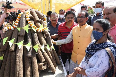 Gau Kashtha reduces pollution, increases cowsheds’ income, says Madhya ...