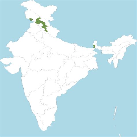 India Flora Online