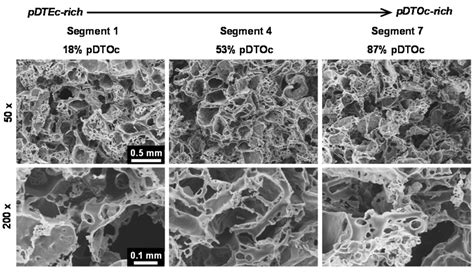 Gas-Foamed Scaffold Gradients for Combinatorial Screening in 3D