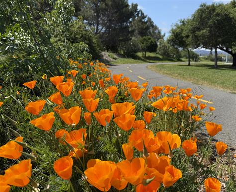 2025 Park Pics Finalists - Vote for People's Choice Award! | Support ...