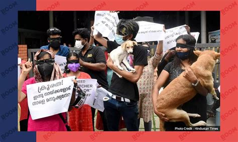 Air Guns And Vaccines: Why Can't Kerala Stop The Biting Dog Menace?