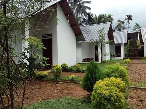 SINHARAJA FOREST SANCTUARY (Deniyaya) - Specialty B&B Reviews, Photos ...