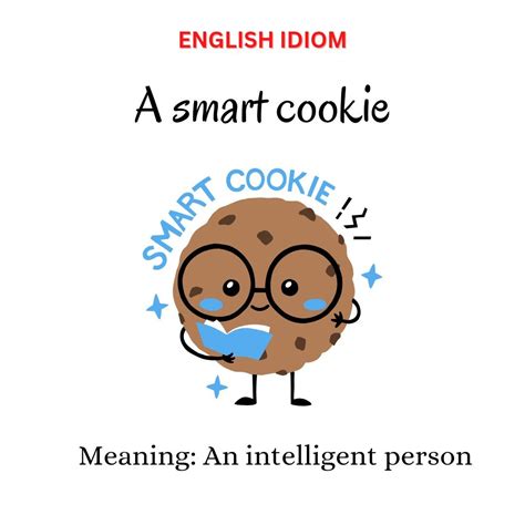 A smart cookie 🍪 | Good vocabulary words, English phrases idioms ...