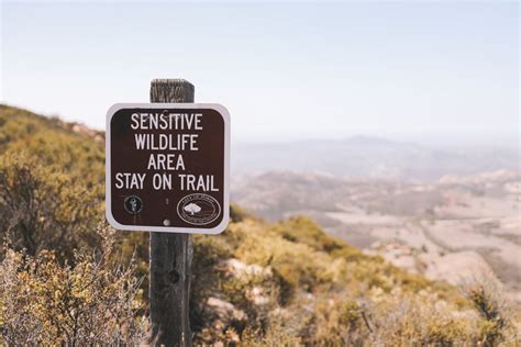 Iron Mountain Hike | Kelly in the City | Lifestyle Blog