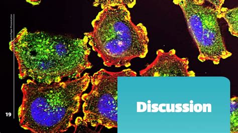 Paper Presentation Examples 的图像结果