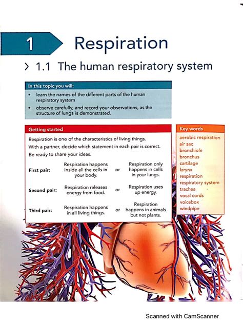 Bio Chapter 1 Lecture 的图像结果