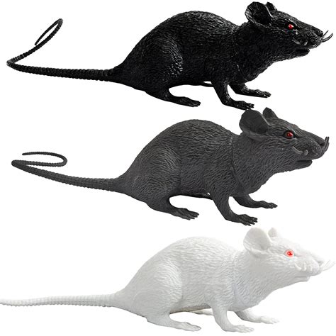 Black And White Rats