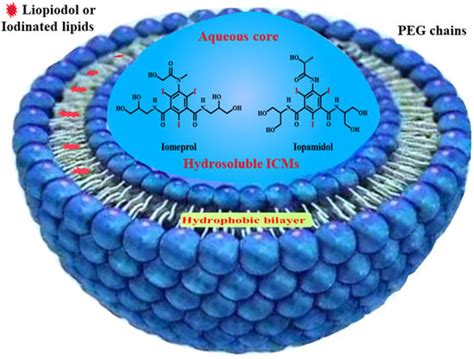 Organic Nanoplatforms for Iodinated Contrast Media in CT Imaging