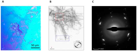 Recent Advances in Amyloids Structural Studies and Thin Film Applications