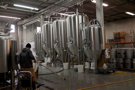 Solemn oath. • Choosing Figs