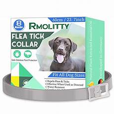 anti puce huile essentielle chien ᐅ collier pour chien anti puce les meilleurs de 2020 anti puce huile essentielle chien ᐅ collier pour chien anti puce les meilleurs de 2020