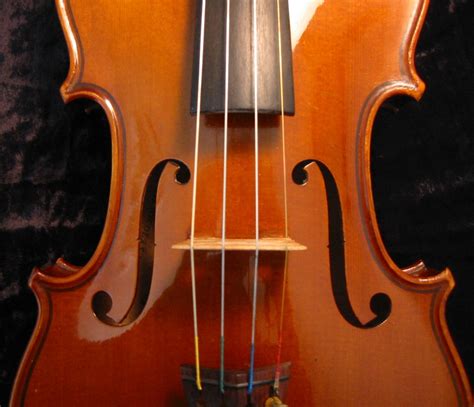 Image result for Orchestral Stringed Instruments
