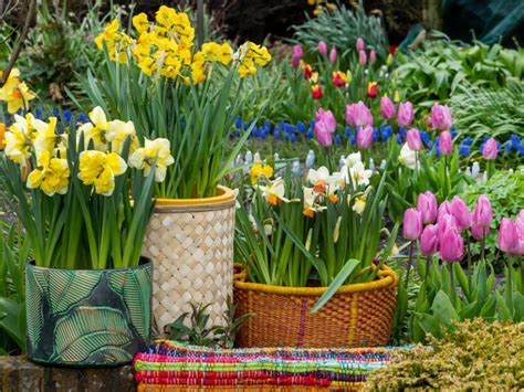 Image result for Spring Flower Garden