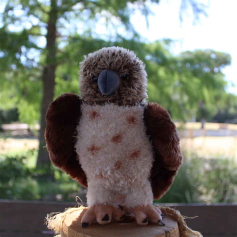 HAWK STUFFED-ANIMAL • Presbyterian Mo-Ranch Assembly