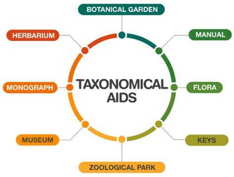 The Living World Class 11 Notes Biology Chapter 1
