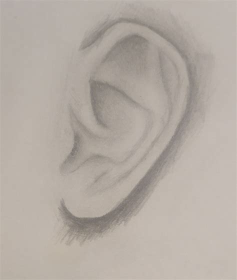 Image result for Ear Drawing Tutorial