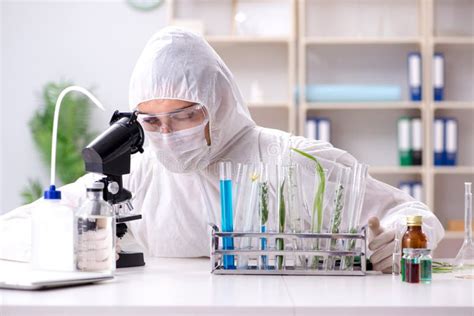 Biotechnology Scientist 的图像结果