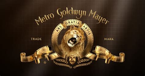 MGM Rewards | Loyalty Program | Earn Points Vector Art Vector Recipe Wallpaper Vector