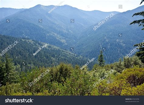 Bear Camp Road Rugged Mountain Road Stock Photo 37221076 | Shutterstock