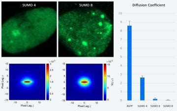 ZEISS Spectral RICS