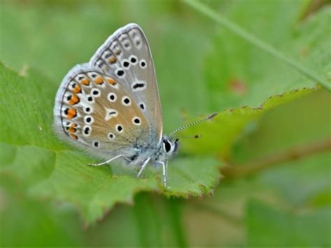 Image result for Common Core Grade 3 Math