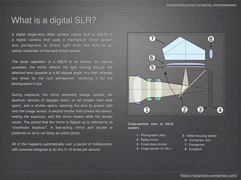 Digital SLR User 的图像结果