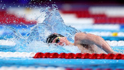 Swim Team Members 的图像结果