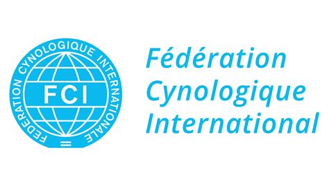 What Is FCI? | NewDoggy.com