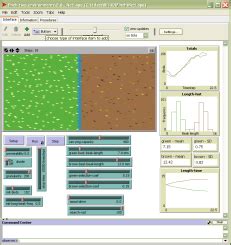 Evolution Computer Simulation 的图像结果