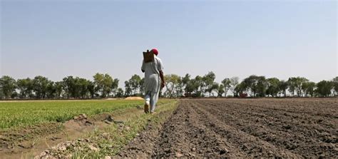 ‘Rationalising subsidies, improving infrastructure could revive agri ...