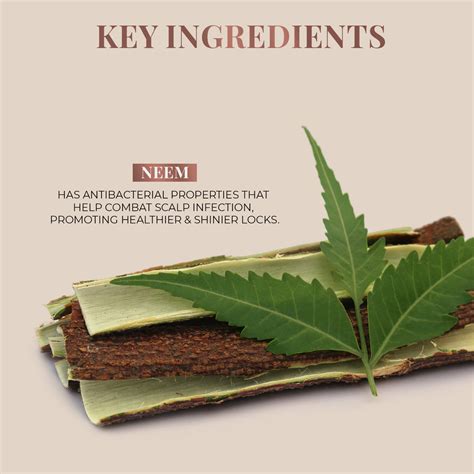 Neem Comb - Handmade Wooden Neem Comb Online in India