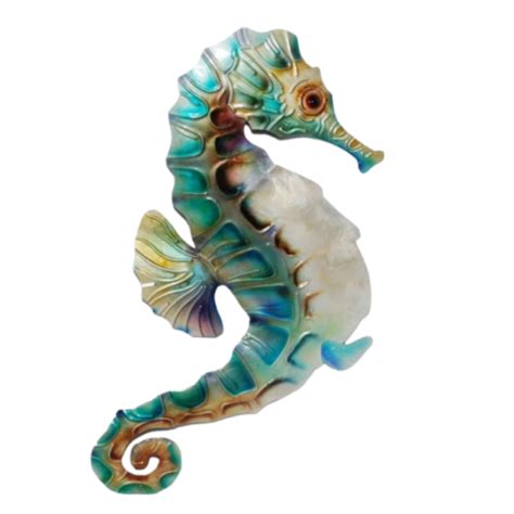 Seahorse png transparent (13) - Photo #2447 - BiNps PNG Website