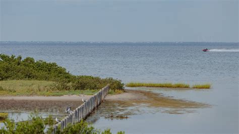 ラグーナ マードレ ネイチャー トレイル (サウス パドレー アイランド) - ツアーとアクティビティ | エクスペディア