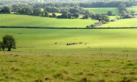 Caterham Tourism (2023): Best of Caterham, England - Tripadvisor