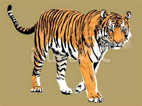 Image result for Custom CSS File