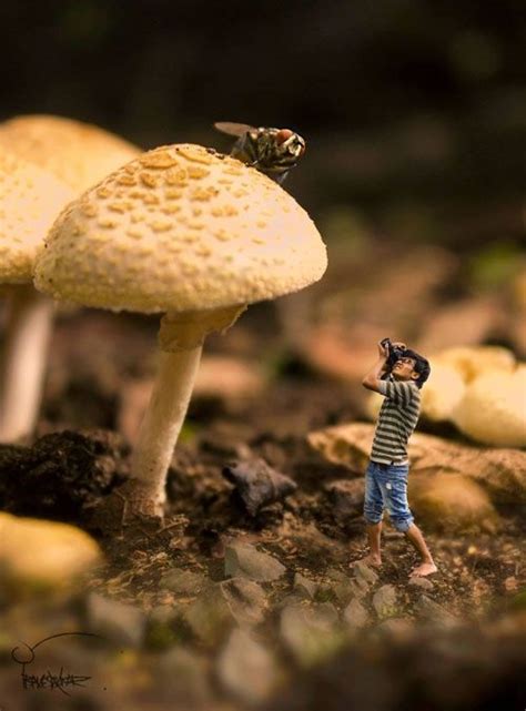 This Man Shrunk Himself To An Ants Size In His Photographs. The Results ...