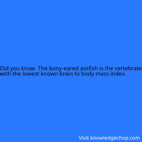 The bony-eared assfish is the vertebrate with the lowest known brain to ...