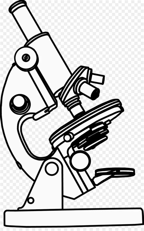 Microscope Parts Drawing at PaintingValley.com | Explore collection of Microscope Parts Drawing