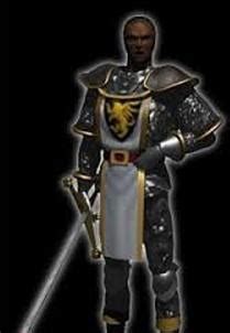 暗黑2圣骑士为什么是黑人 暗黑2圣骑士是黑人原因-梦幻手游网
