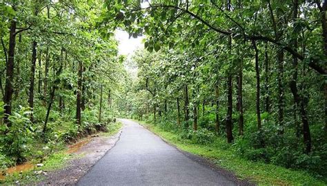 Palaruvi Falls Is A Must Visit Waterfalls For Nature Lovers