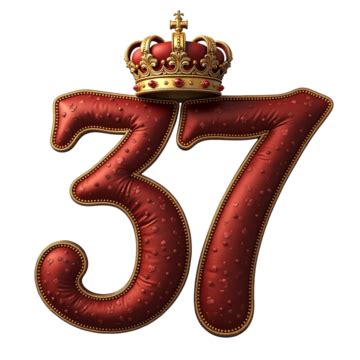 Open 37 File 的图像结果