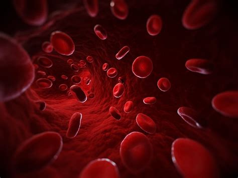 Image result for Blood Gang Handshake Tutorial