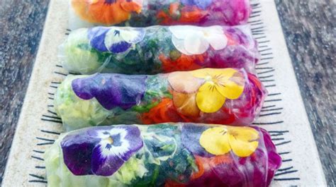 Image result for Edible Paper