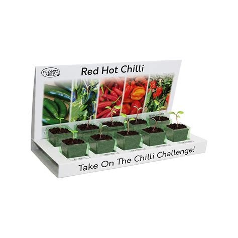 Buy pronto seedGrow Your Own Chilli - Indoor Kit - Eco-Friendly - 5 ...