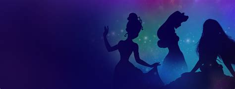 Image result for Disney Princess Program