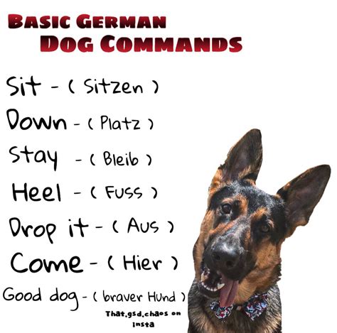 Are Police German Shepherd Commands