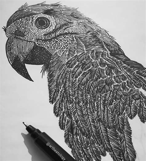 Draw Tutorial Animals 的图像结果