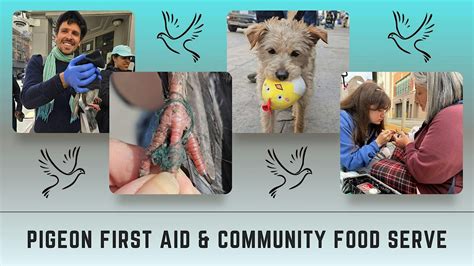 Pigeon First Aid & Community Food Serve, United Nations Plaza, 14 April ...