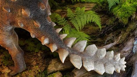 Tail or Sword? Bizzare Fossil from Chile Reveals Dinosaur Species With ...